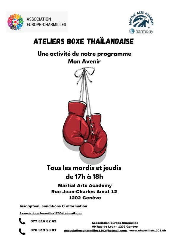 Affiche pour boxe v1